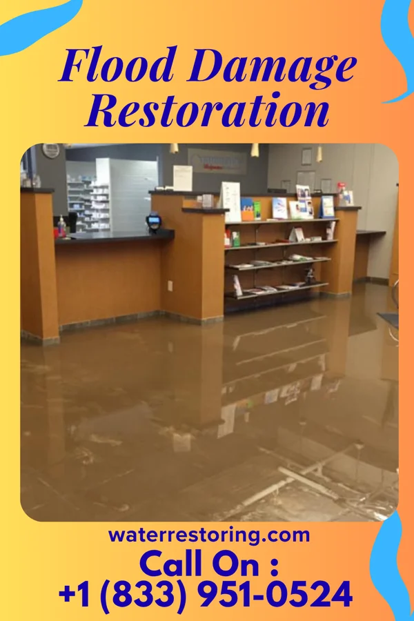 Flood Damage Restoration in Kincaid, IL